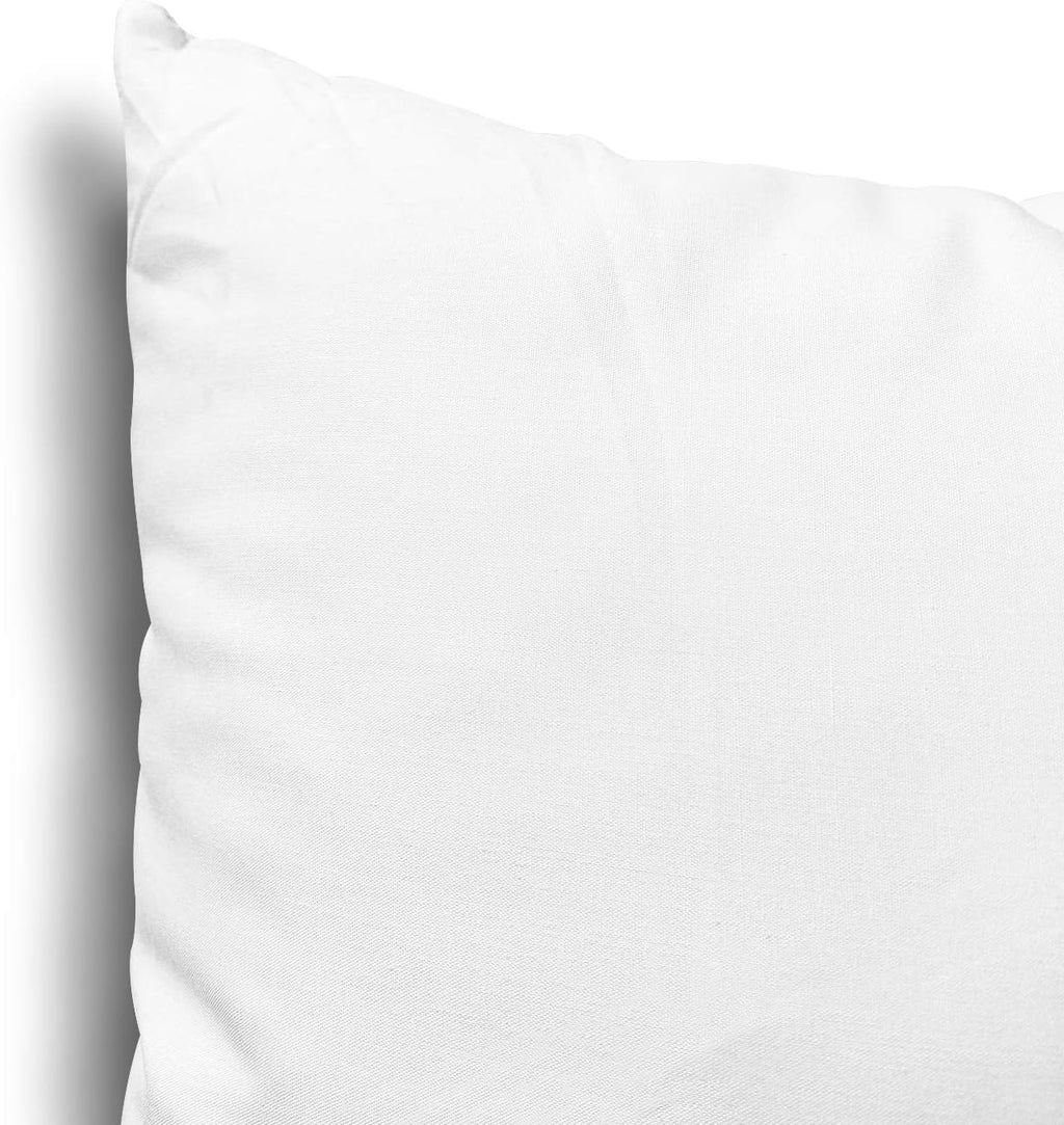 EDOW Throw Pillow Inserts, Set of 4 Lightweight Down Alternative Polyester Pillow, Couch Cushion, Sham Stuffer, Machine Washable. (White, 18x18)