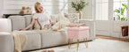 Vanity Stool Chair with Storage, 18.9”H x 16”L x 12.2”W Ottoman Chair Faux Fur Soft Padded Makeup Footstools Seat with 4 Metal Legs Anti-Slip Adjustable Feet for Make Up, Pink
